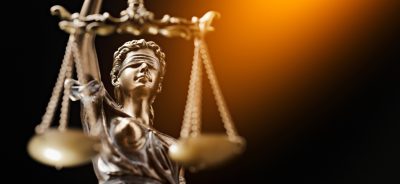 The Value of Pro Bono Legal Services in Immigration Detention