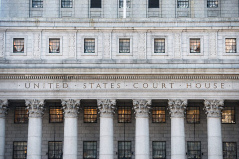 Mandamus and APA Delay Cases: Avoiding Dismissal and Proving the Case