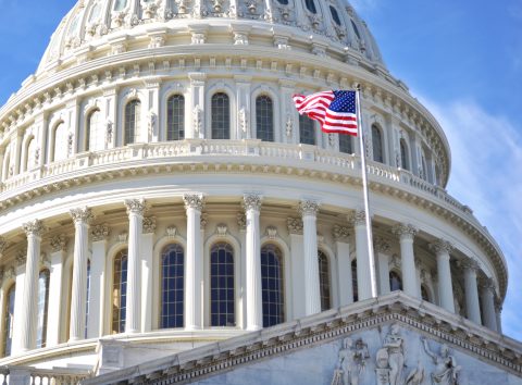 2021 Mid-Year Report