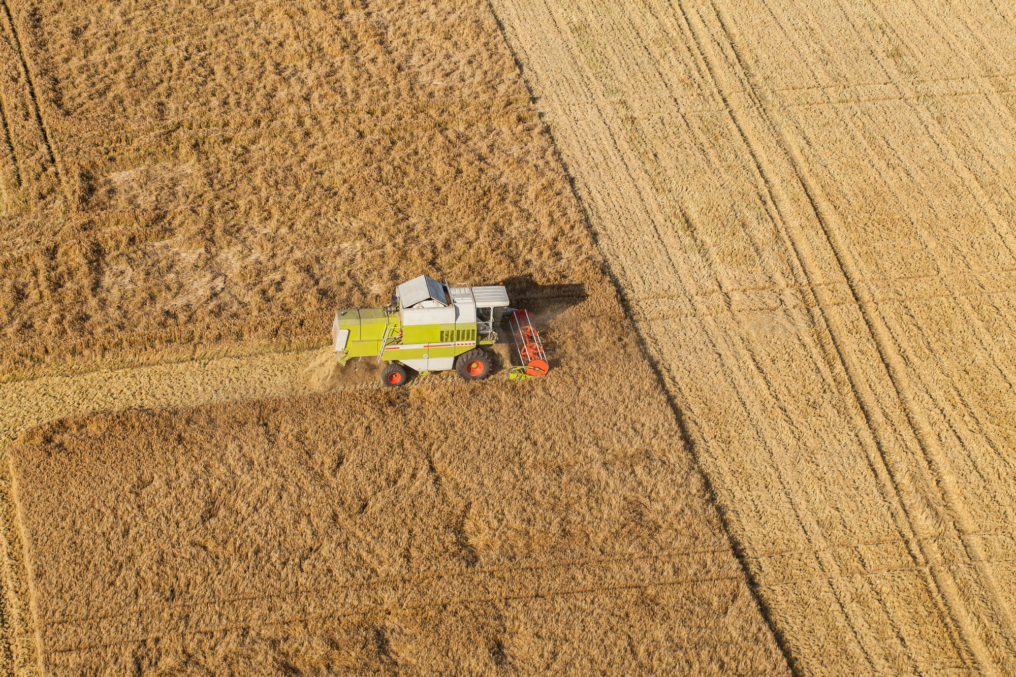 Immigration & Agriculture