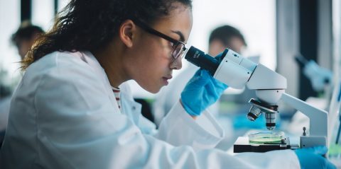 STEM-Related Petitions Increase Following USCIS’ Updated Policy Guidance