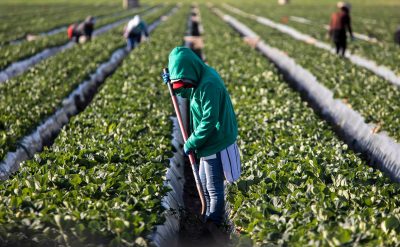 Corrupt US Employers and Smugglers Are Exploiting Migrant Teens for Profit