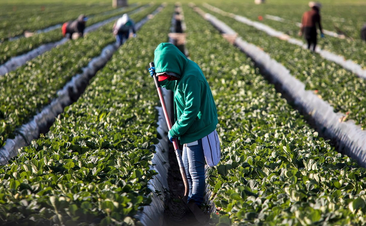 Corrupt US Employers and Smugglers Are Exploiting Migrant Teens for Profit
