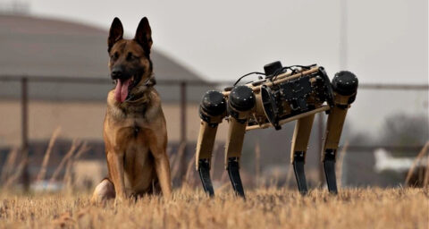 New Border Surveillance Technology Raises Privacy Concerns and Could Increase Deaths