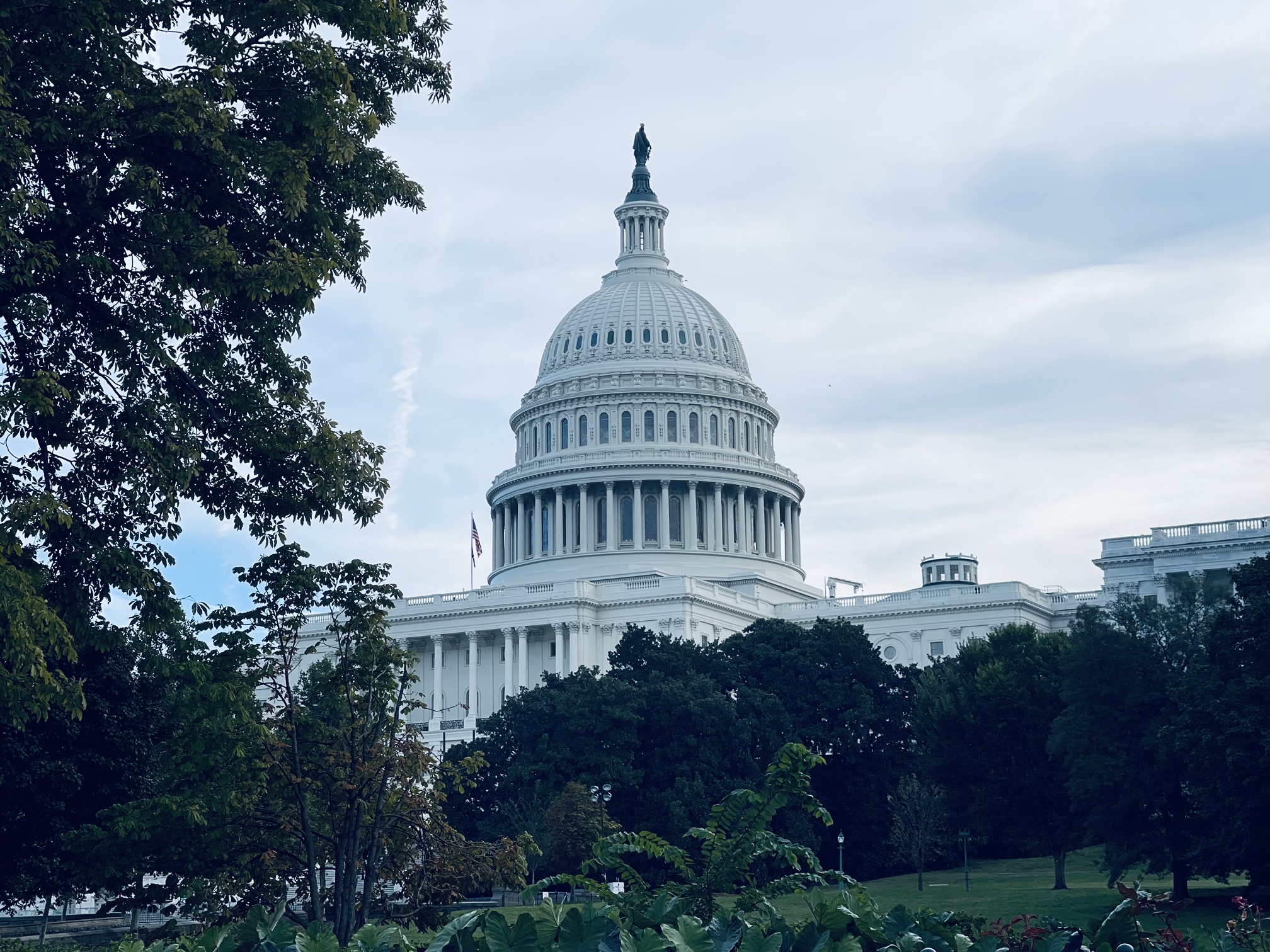 Senate Rejects Harmful Immigration Amendments to Inflation Reduction Act