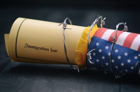 Who Enforces Immigration Policy Anyway?