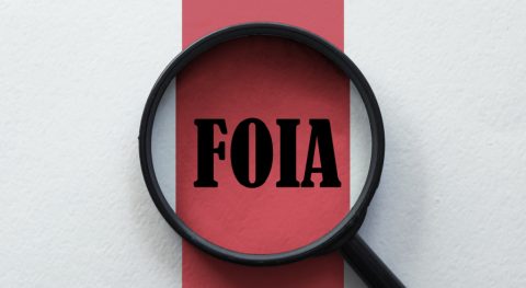 Lawsuits Prompt Immigration Agencies to Publish Critical Documents in Their FOIA Libraries