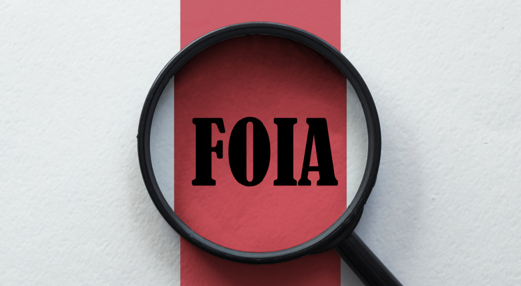 Lawsuits Prompt Immigration Agencies to Publish Critical Documents in Their FOIA Libraries
