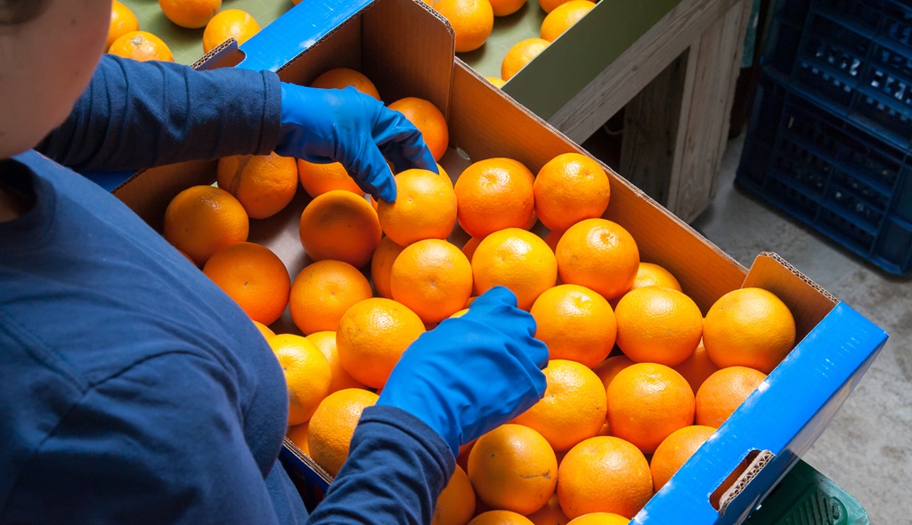 Immigrant Workers Help Florida Thrive. Anti-Immigrant Policies Threaten That.
