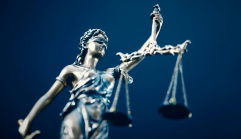 Volunteer to Support Immigrants: Pro Bono Attorneys and Interpreters Needed