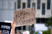 Documented Dreamers: An Overview