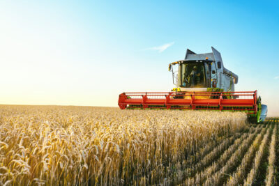 The Expanding Role of H-2A Workers in U.S. Agriculture
