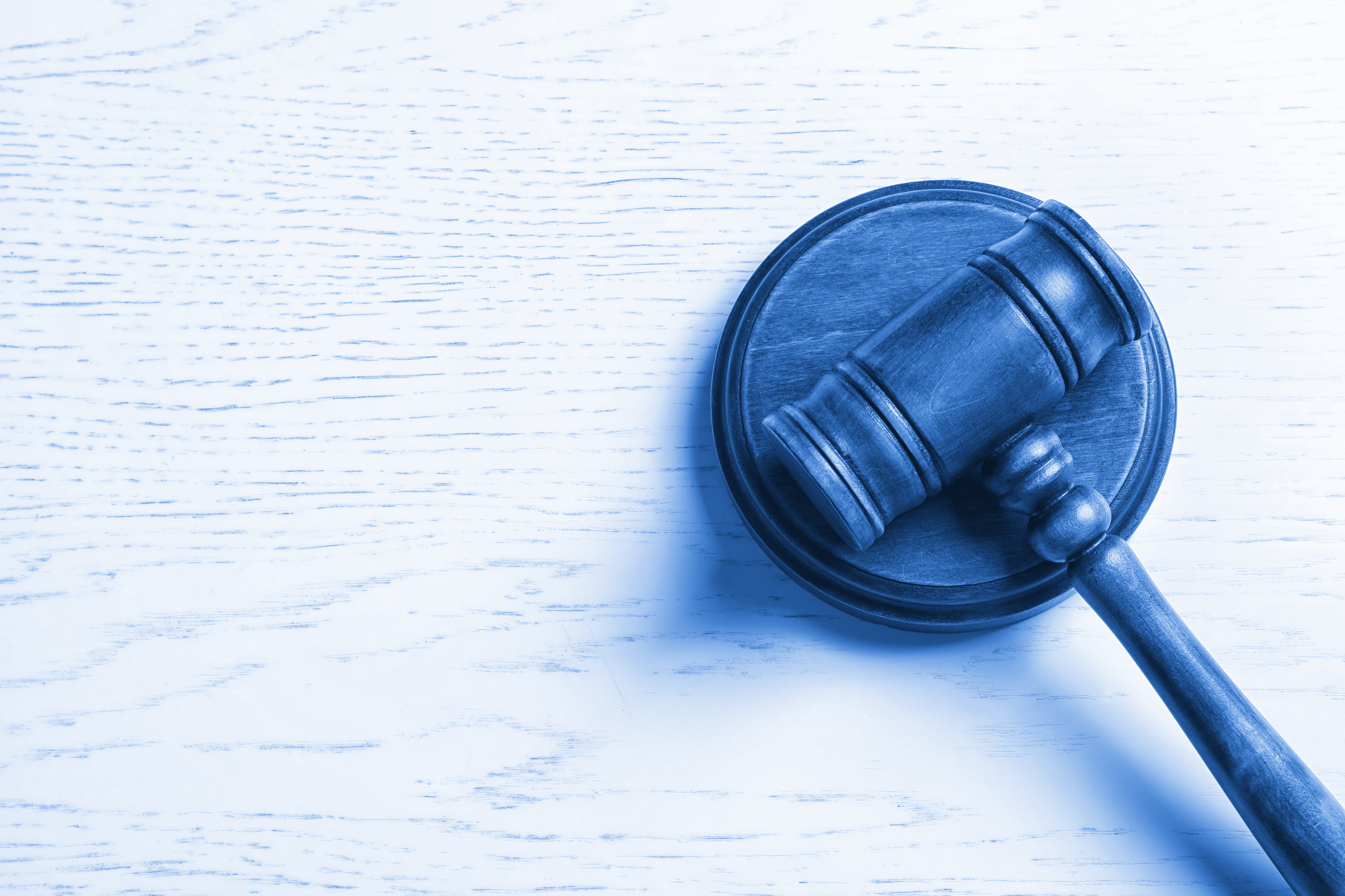 Court Decision Ensures Timely Adjudication of Employment Applications Filed by Initial Asylum Applicants