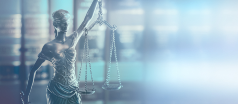 Challenging Florida’s Unconstitutional Anti-Immigrant Law