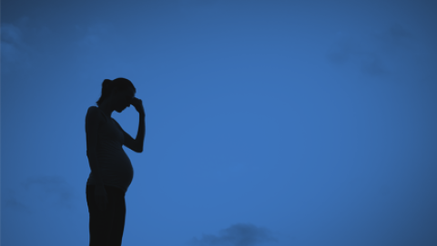 Detention of Pregnant Women FOIA Request