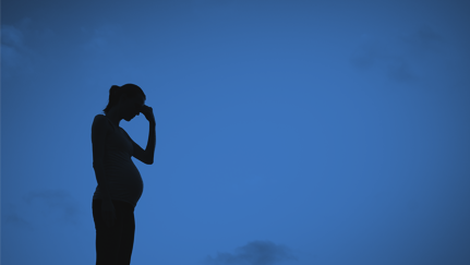 Detention of Pregnant Women FOIA Request