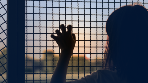 Divided by Detention: Asylum-Seeking Families’ Experiences of Separation