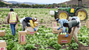 Farm Workforce Modernization Act of 2021