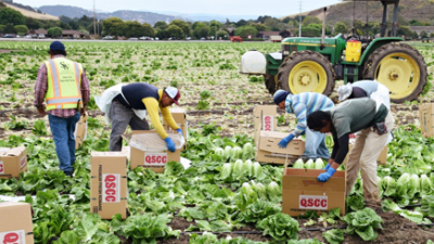 Farm Workforce Modernization Act of 2021