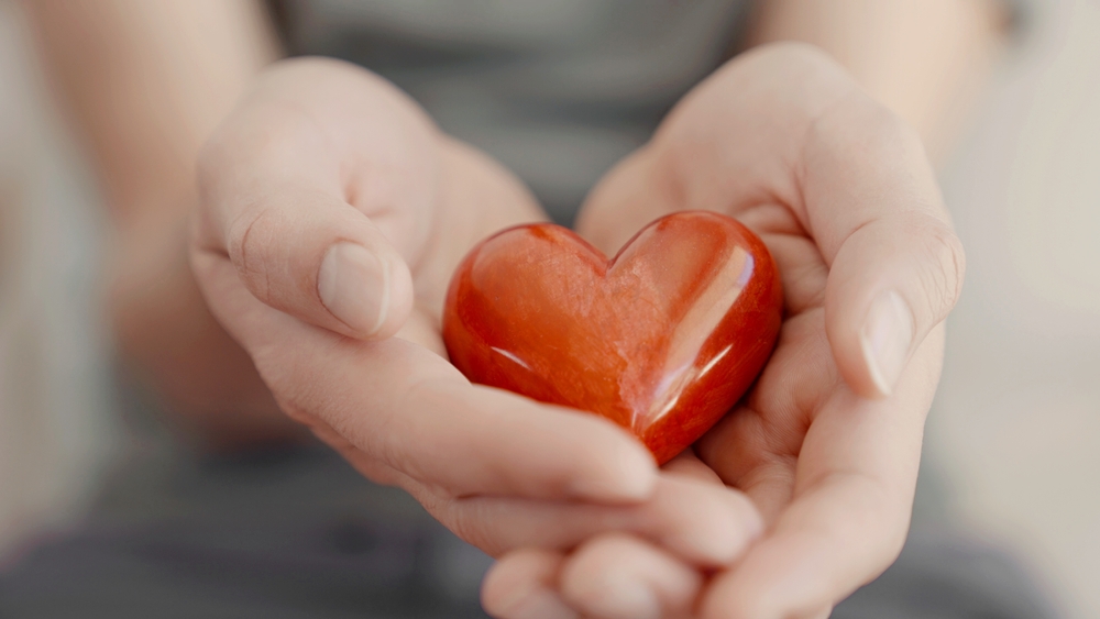 Hands,Holding,Red,Heart,,Heart,Health,Insurance,social,Responsibility,,Gratitude,donation,,Happy