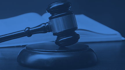 Council Submits Amicus Brief Supporting Reversal of USCIS’ Misinterpretation of the First Regulatory Test for an H-1B Specialty Occupation