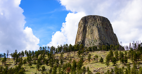 Immigrants in Wyoming