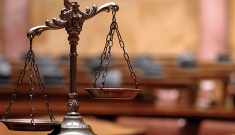 Litigation for Business Immigration Practitioners