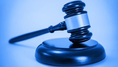 U.S. Employer Challenges USCIS