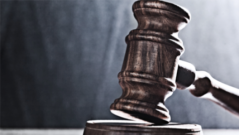 Lawsuit Demands Response to FOIAs Seeking Data About Immigrant and Nonimmigrant Adjudications
