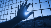 Seeking Release from Immigration Detention