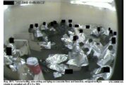 Detained Beyond the Limit
