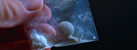 US Citizens—Not Migrants—Smuggle the Majority of Fentanyl Into the United States