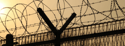 Trump Administration Deadlier for ICE Detainees Than COVID-19 Pandemic