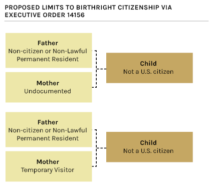Flowchart showing categories of children who would have been excluded from birthright citizenship under Executive Order 14156, including children born to undocumented mothers or temporary visitors when the father is neither a U.S. citizen nor lawful permanent resident.