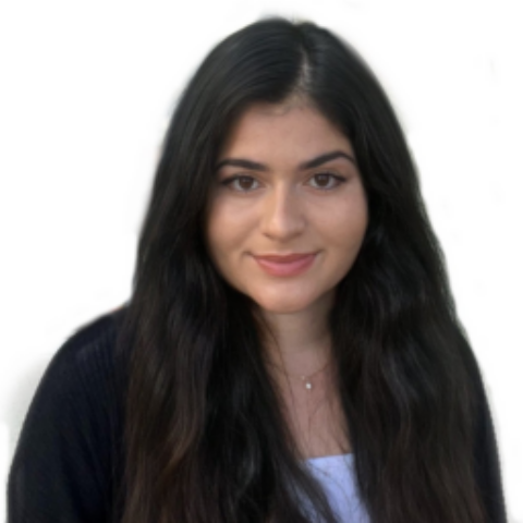 Laila Khan