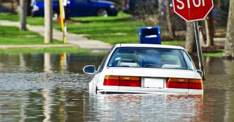 How Temporary Protected Status Holders Help Disaster Recovery and Preparedness