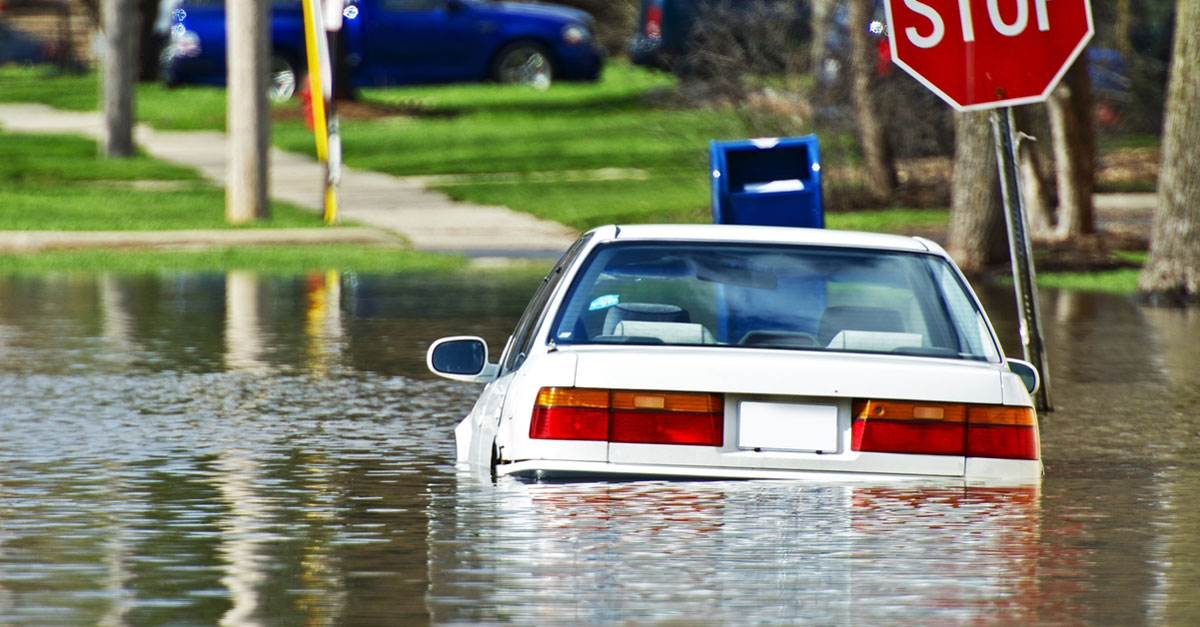 How Temporary Protected Status Holders Help Disaster Recovery and Preparedness