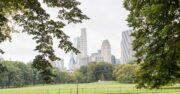 Immigrants and the Growth of America’s Largest Cities