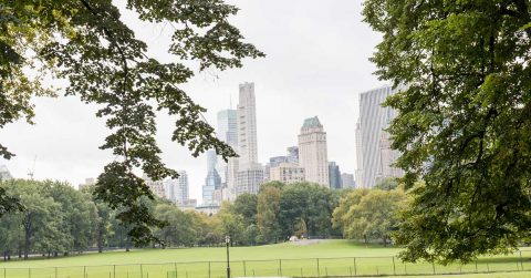 Immigrants and the Growth of America’s Largest Cities
