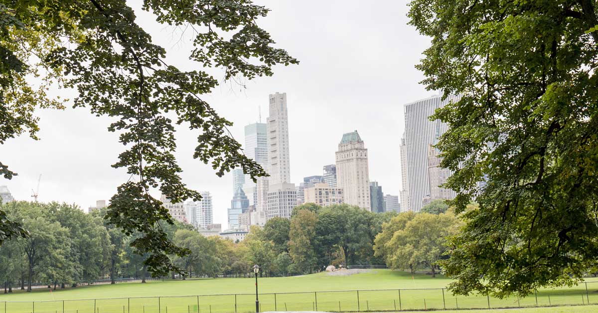 Immigrants and the Growth of America’s Largest Cities