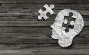 The Role of Immigrants in Mental Healthcare Services