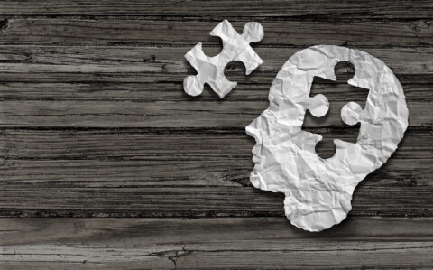 The Role of Immigrants in Mental Healthcare Services