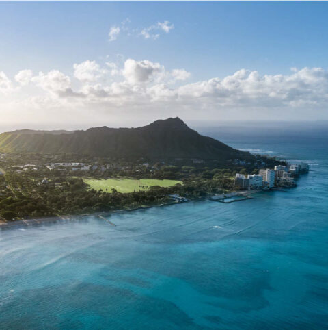 Immigrants and Migrants in Hawai'i: Essential Contributors to the State's Workforce and Economy