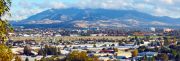 New Americans in Contra Costa County
