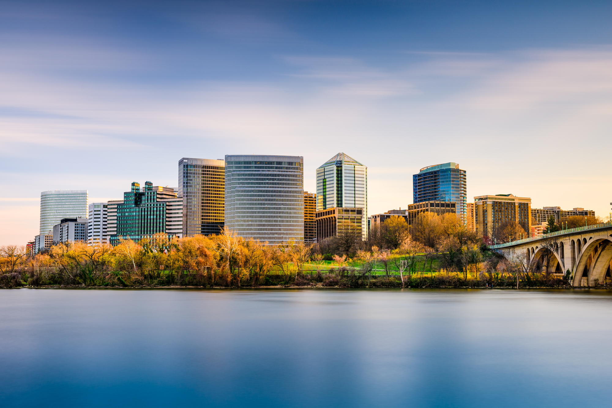 New Americans in Arlington