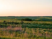 New Americans in Southwest Kansas and Ford County