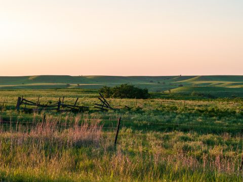 New Americans in Southwest Kansas and Ford County