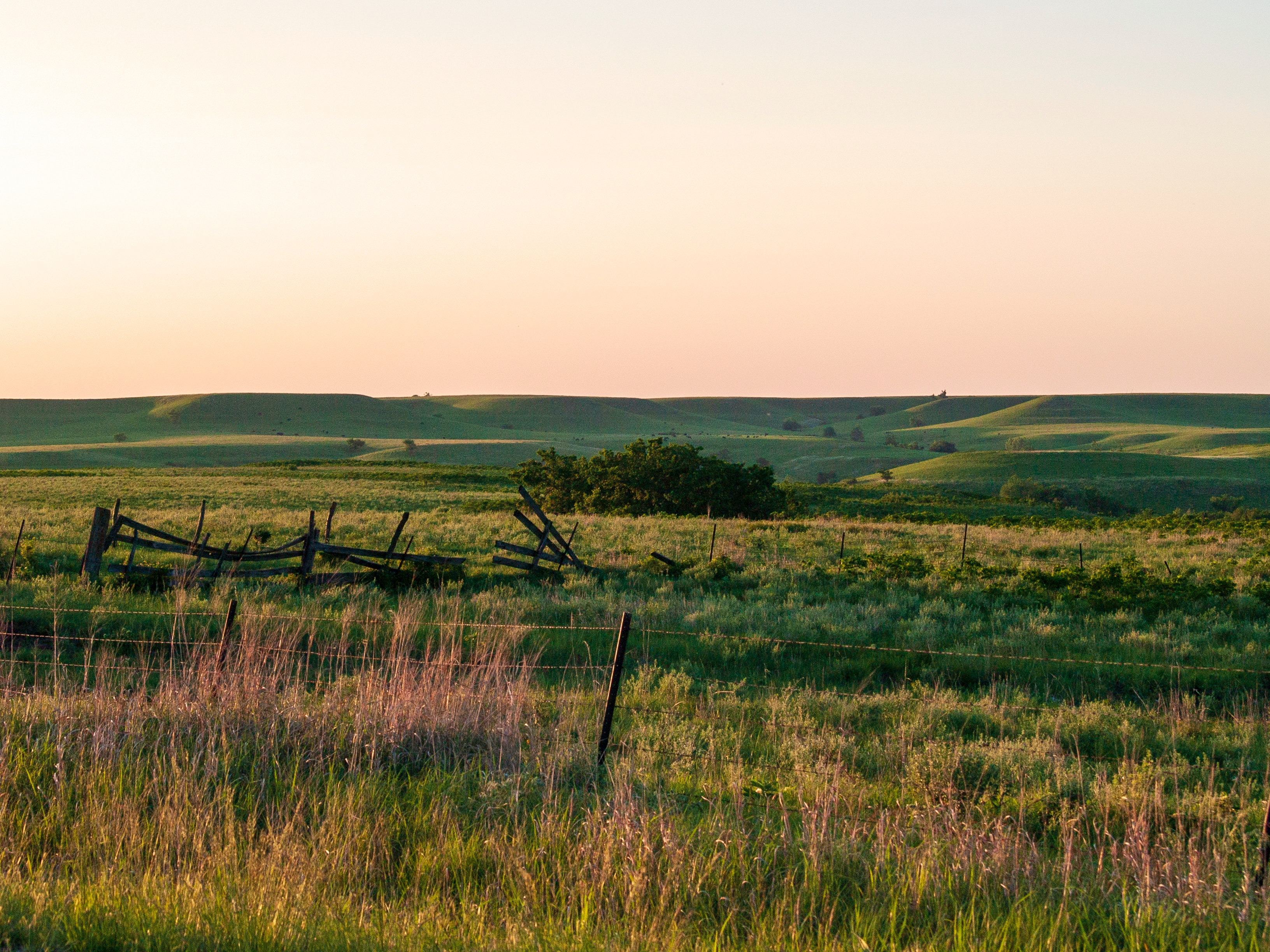 New Americans in Southwest Kansas and Ford County
