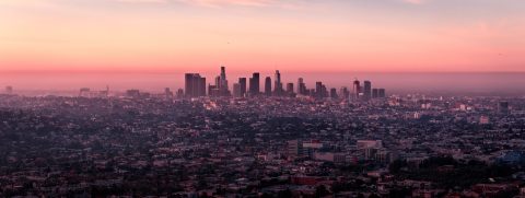 Are Immigrant-Heavy Metro Areas More Economically Resilient?