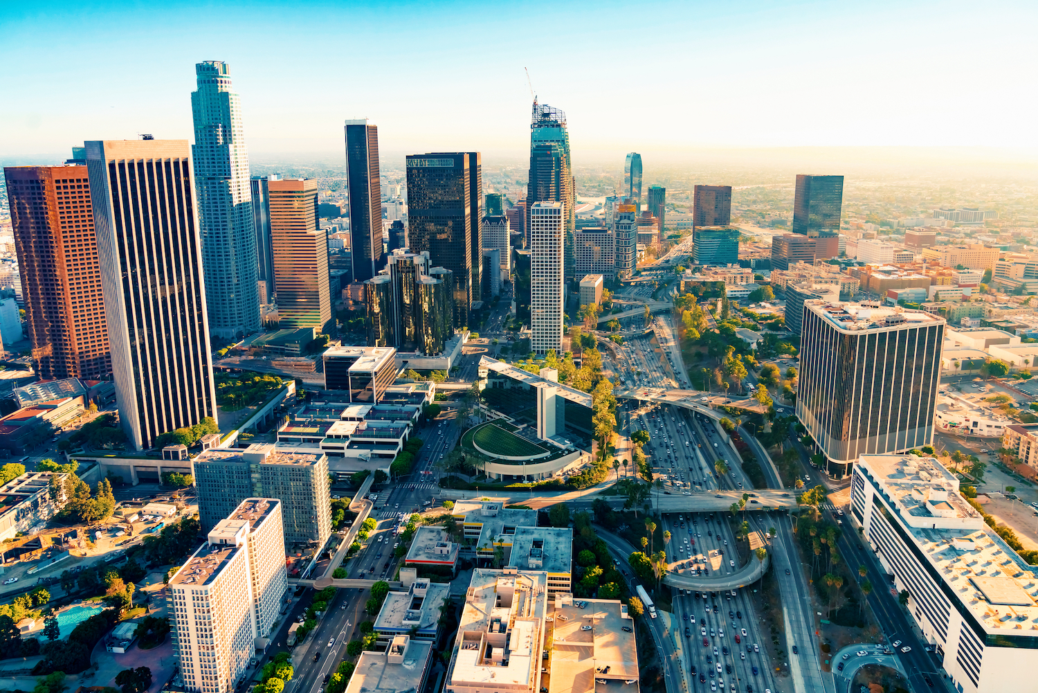 New Americans in the City of Los Angeles